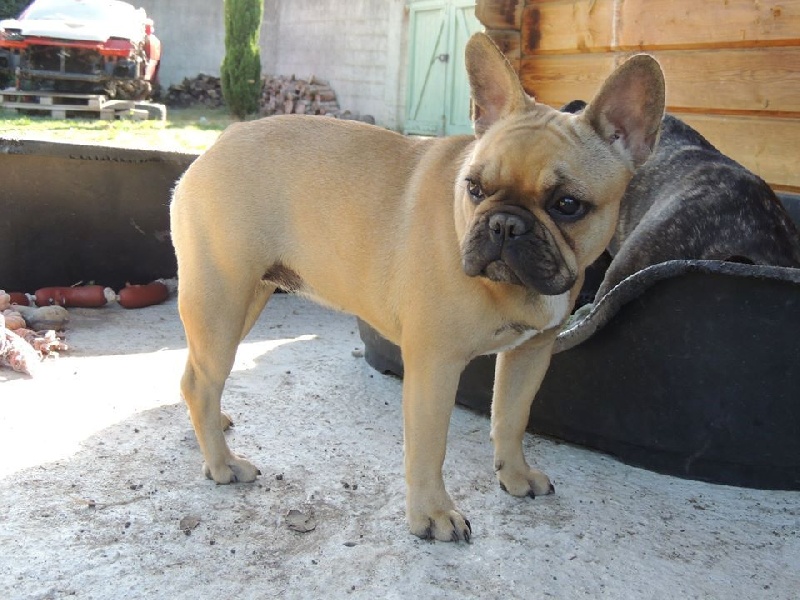 Look me de Dalton Family Passion