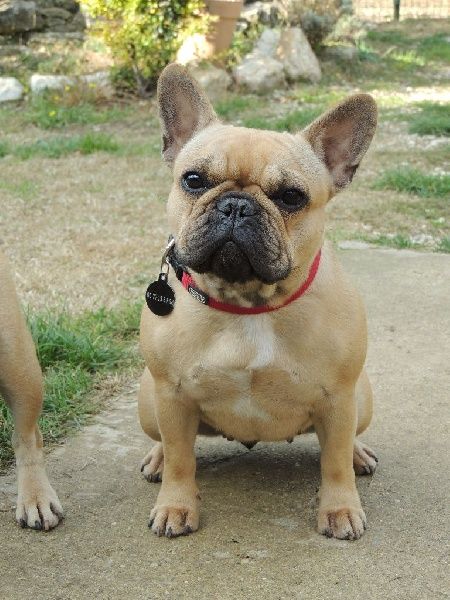 Look me de Dalton Family Passion