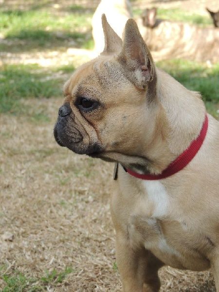 Look me de Dalton Family Passion