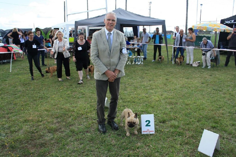 Héraclès de la flamme de chanel (Sans Affixe) - 2 eme excellent ouverte