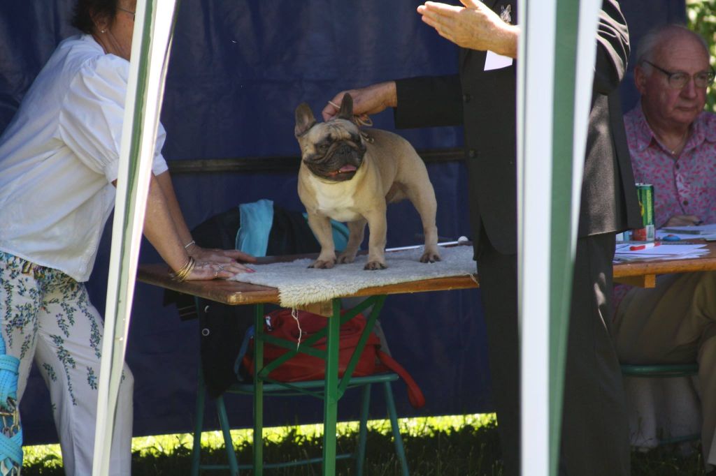 Héraclès de la flamme de chanel (Sans Affixe) - 2 ème excellent ouverte