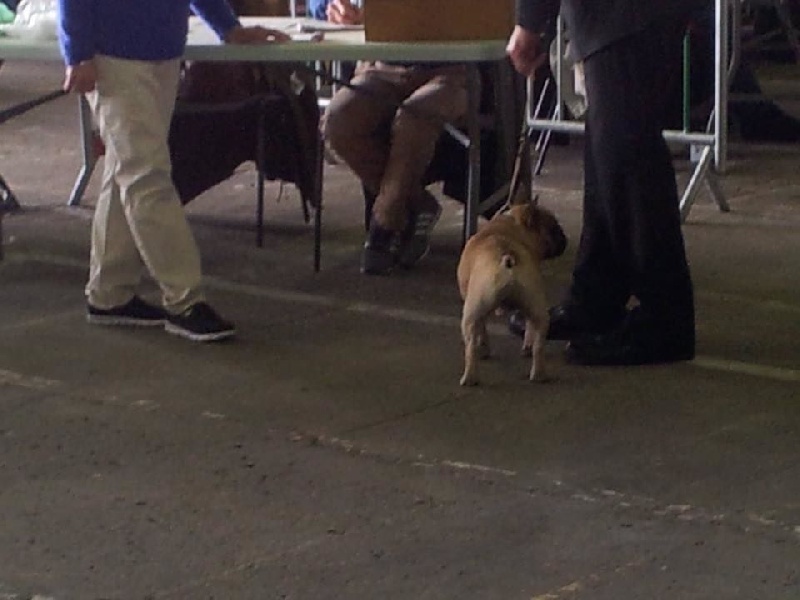 Héraclès de la flamme de chanel (Sans Affixe) - excellent non classé