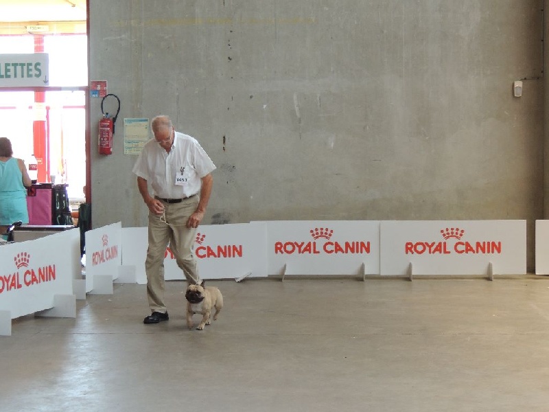 Héraclès de la flamme de chanel (Sans Affixe) - 2 ème excellent ouverte