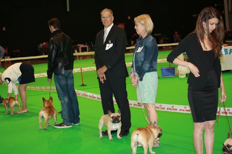 Héraclès de la flamme de chanel (Sans Affixe) - excellent non classé ouverte