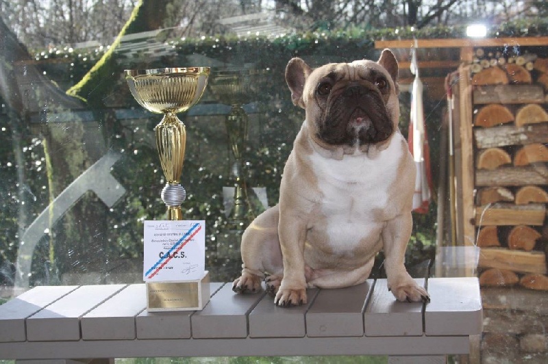 Héraclès de la flamme de chanel (Sans Affixe) - 1 er exc CACS