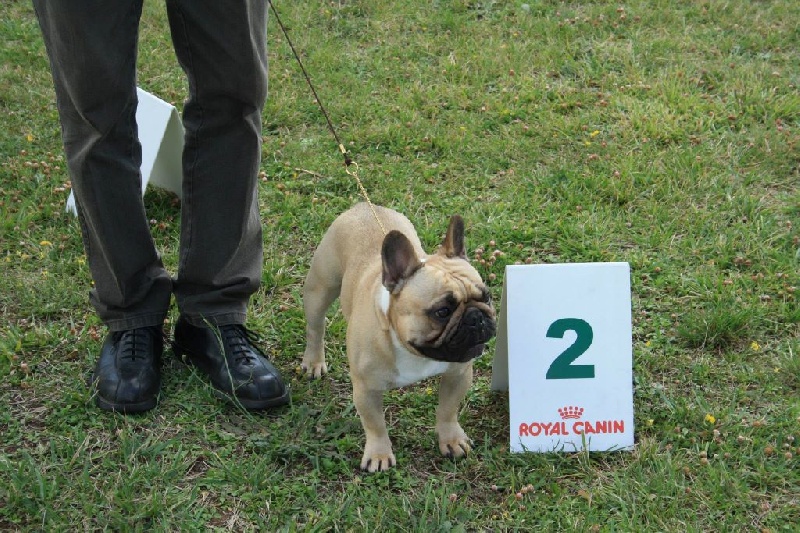 Héraclès de la flamme de chanel (Sans Affixe) - 2 excellent inter