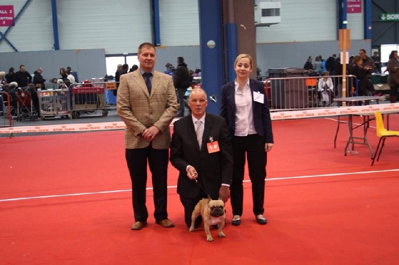 Héraclès de la flamme de chanel (Sans Affixe) - 1 cacs cacib BOS