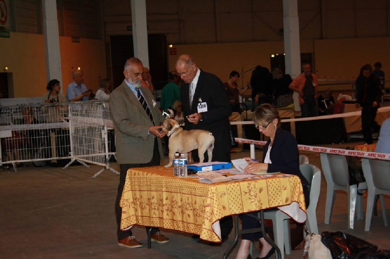 Héraclès de la flamme de chanel (Sans Affixe) - 4 eme excellent ouverte