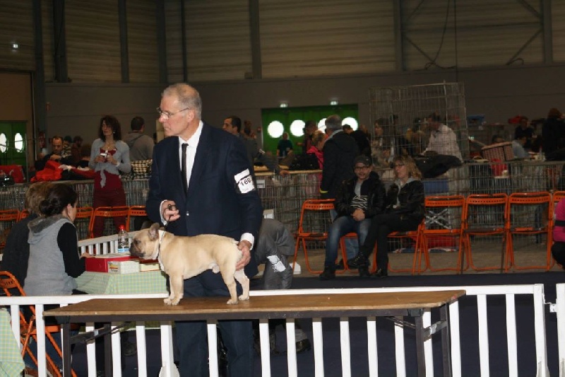 Héraclès de la flamme de chanel (Sans Affixe) - 2 ème excellent intermediaire + RCACS