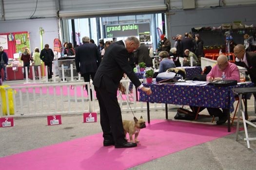 Héraclès de la flamme de chanel (Sans Affixe) - 2 eme excellent ouverte