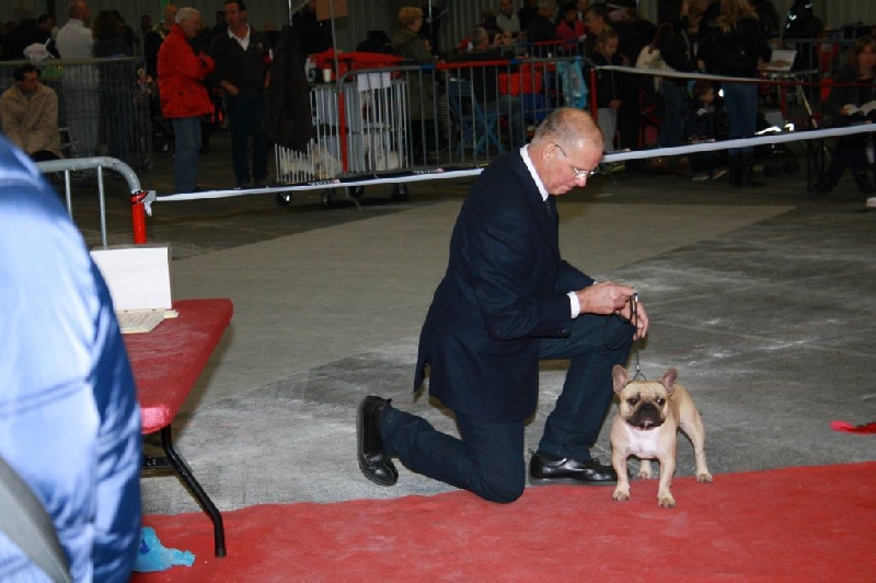 Héraclès de la flamme de chanel (Sans Affixe) - 2 excellent jeune