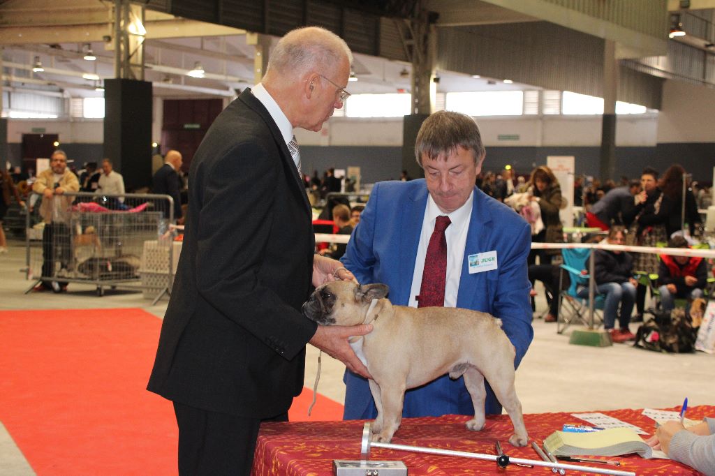 Héraclès de la flamme de chanel (Sans Affixe) - 4ème excellent ouverte