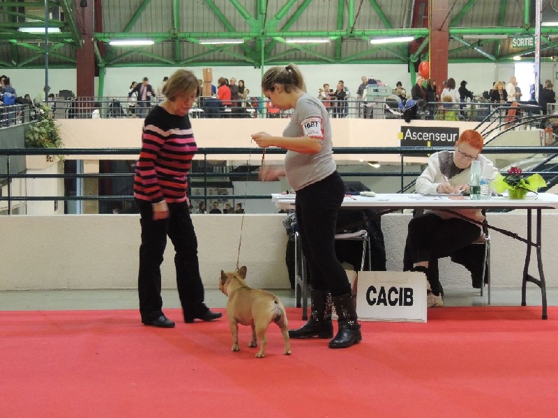 Look me de Dalton Family Passion - bon classe intermediaire