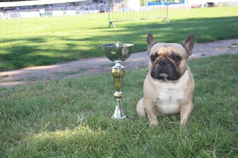 Héraclès de la flamme de chanel (Sans Affixe) - 1 er excellent cacs ouverte