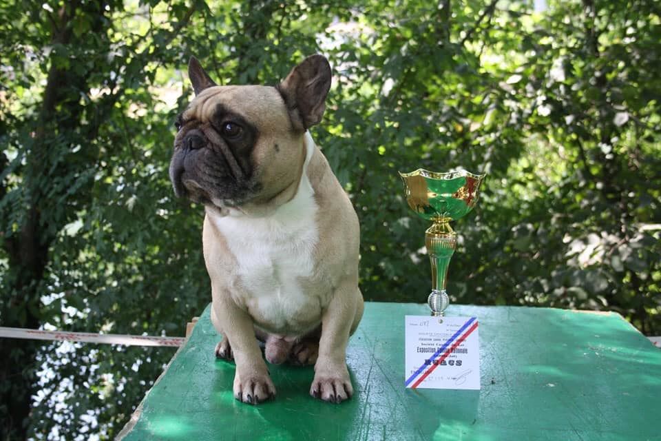 Héraclès de la flamme de chanel (Sans Affixe) - 1er EXCELLENT RCACS