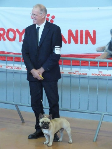 Héraclès de la flamme de chanel (Sans Affixe) - excellent jeune