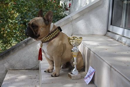 Héraclès de la flamme de chanel (Sans Affixe) - Rcacs