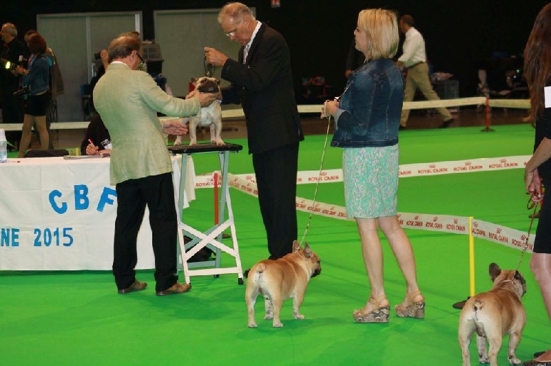 Héraclès de la flamme de chanel (Sans Affixe) - très bon classe ouverte