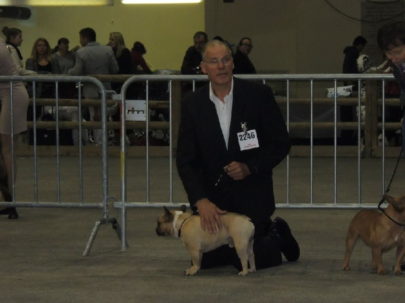 Héraclès de la flamme de chanel (Sans Affixe) - 1 er excellent CACS