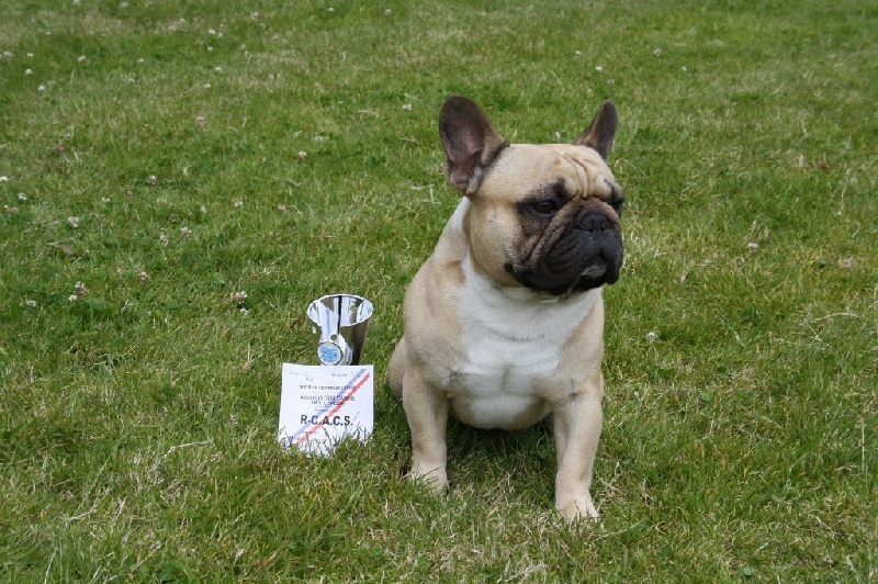 Héraclès de la flamme de chanel (Sans Affixe) - 2ème exc Rcacs