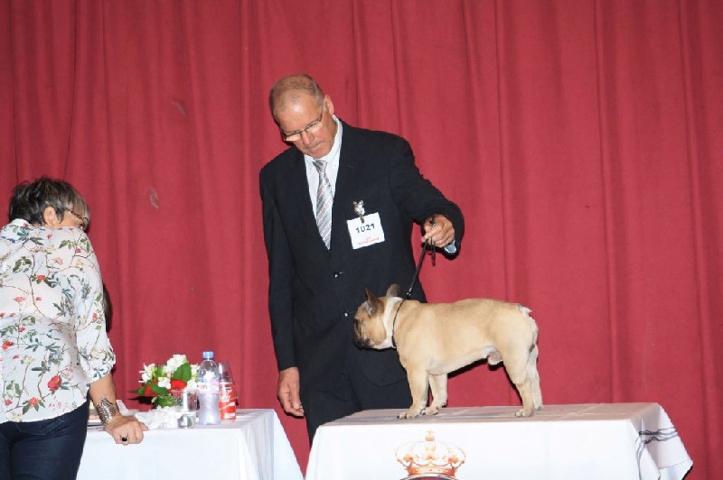 Héraclès de la flamme de chanel (Sans Affixe) - excellent NC