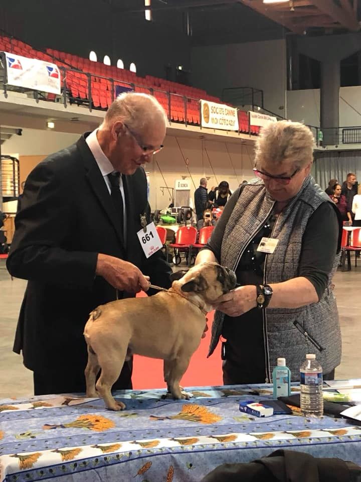 Héraclès de la flamme de chanel (Sans Affixe) - 1er excellent cacs