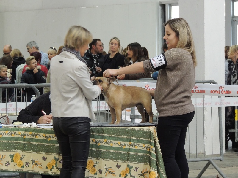 Look me de Dalton Family Passion - 3ème excellente classe intermédaire classe inter