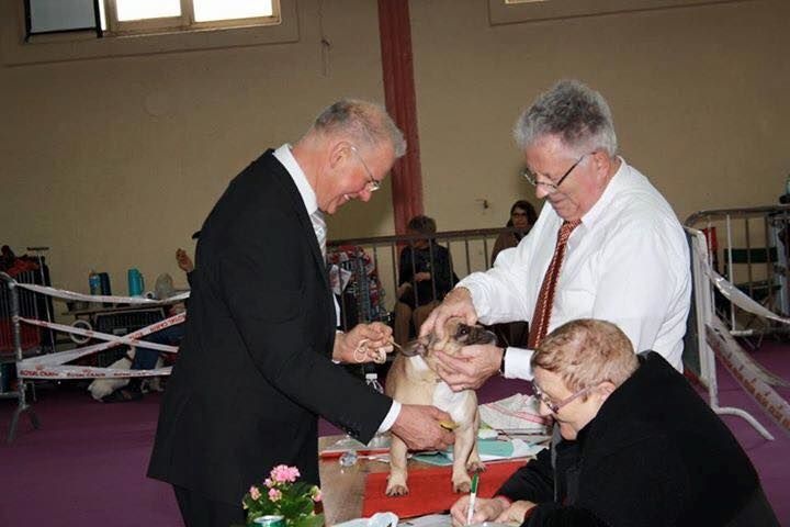 Héraclès de la flamme de chanel (Sans Affixe) - excellent non classé ouverte