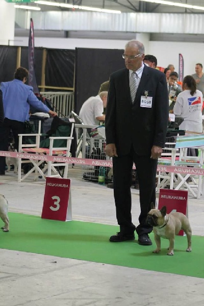 Héraclès de la flamme de chanel (Sans Affixe) - excellent nc