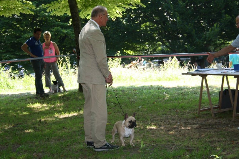 Héraclès de la flamme de chanel (Sans Affixe) - 1 er excellent en classe jeune MEILLEUR JEUNE DE LA RACE