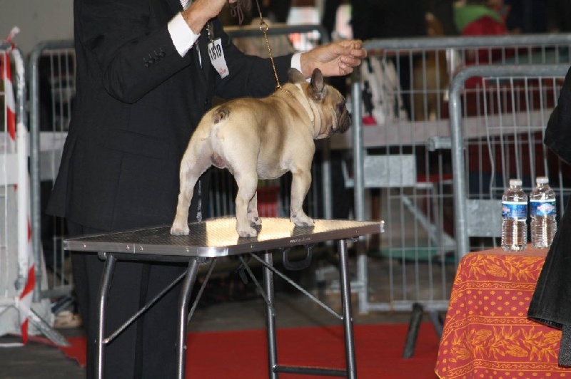 Héraclès de la flamme de chanel (Sans Affixe) - 3 ème très bon ouv