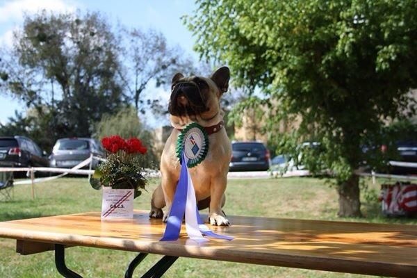 Héraclès de la flamme de chanel (Sans Affixe) - 1 ere exc cacs ouverte