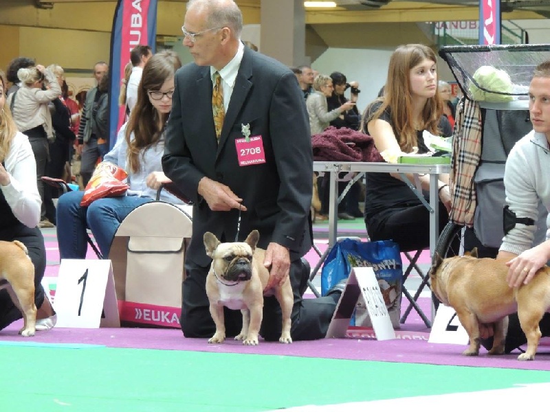 Héraclès de la flamme de chanel (Sans Affixe) - excellent