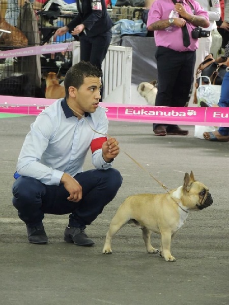 Héraclès de la flamme de chanel (Sans Affixe) - 1 ere excellent en classe intermediaire