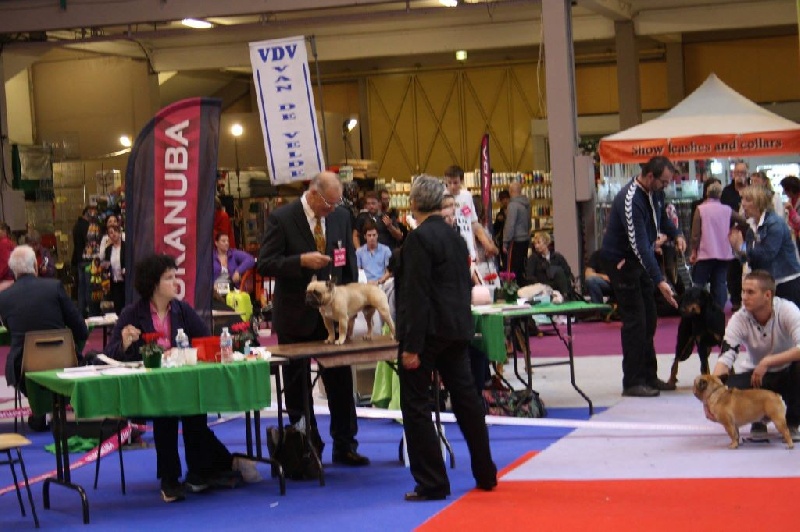 Héraclès de la flamme de chanel (Sans Affixe) - très bon