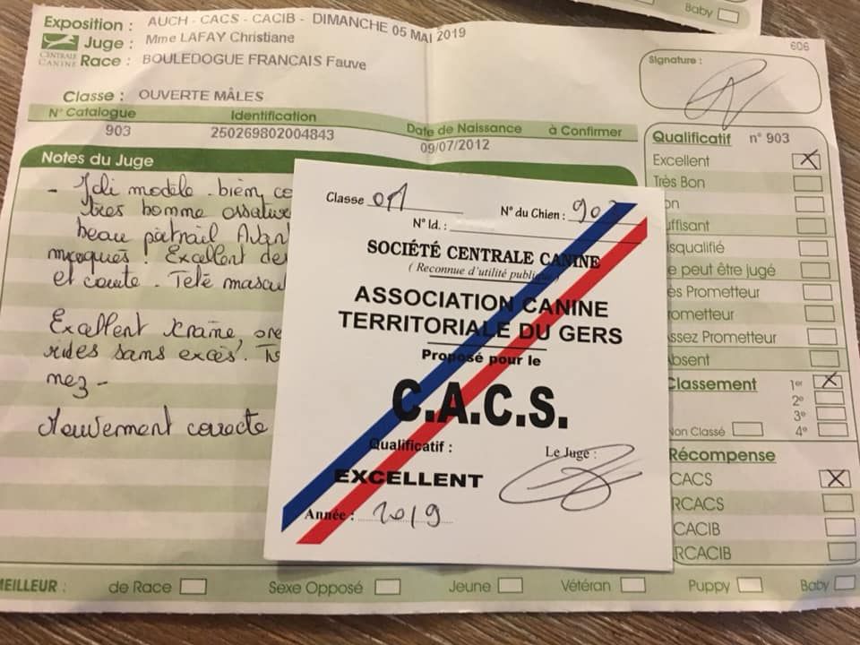 Héraclès de la flamme de chanel (Sans Affixe) - 1er excellent Cacs