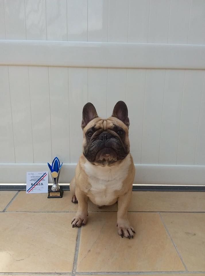 Héraclès de la flamme de chanel (Sans Affixe) - RCACS