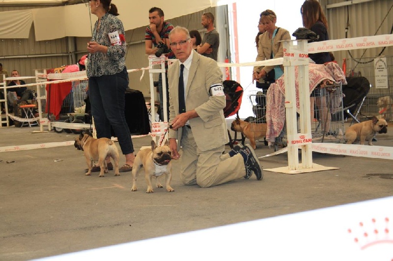 Héraclès de la flamme de chanel (Sans Affixe) - 2 eme excellent