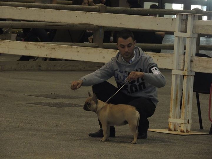 Look me de Dalton Family Passion - Très prometteuse et meilleur puppy sexe confondu