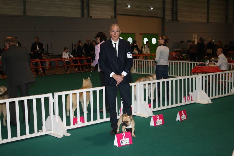 Héraclès de la flamme de chanel (Sans Affixe) - 2 excellent inter