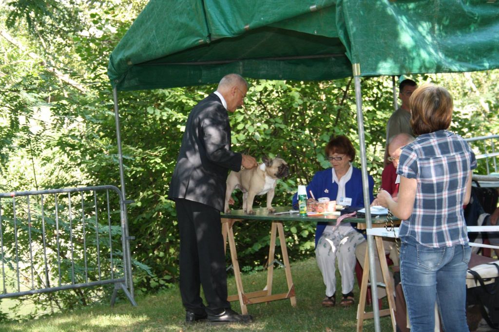 Héraclès de la flamme de chanel (Sans Affixe) - 1er excellent CACS classe ouverte