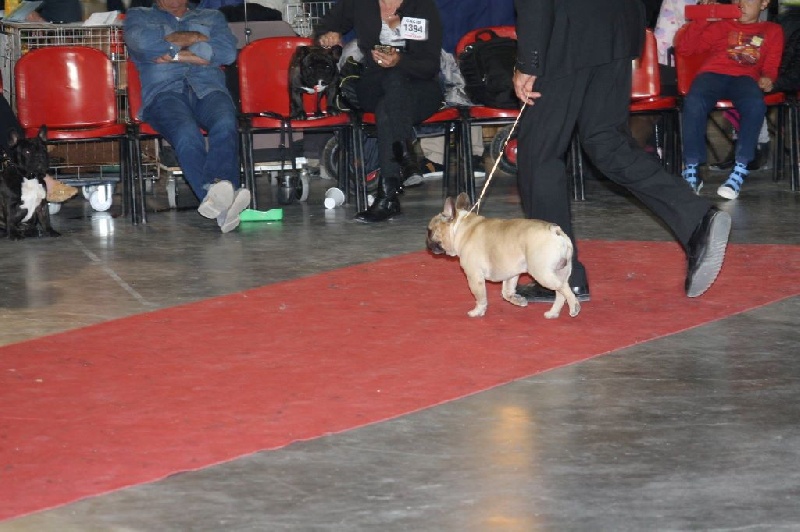 Héraclès de la flamme de chanel (Sans Affixe) - 3 ème excellent