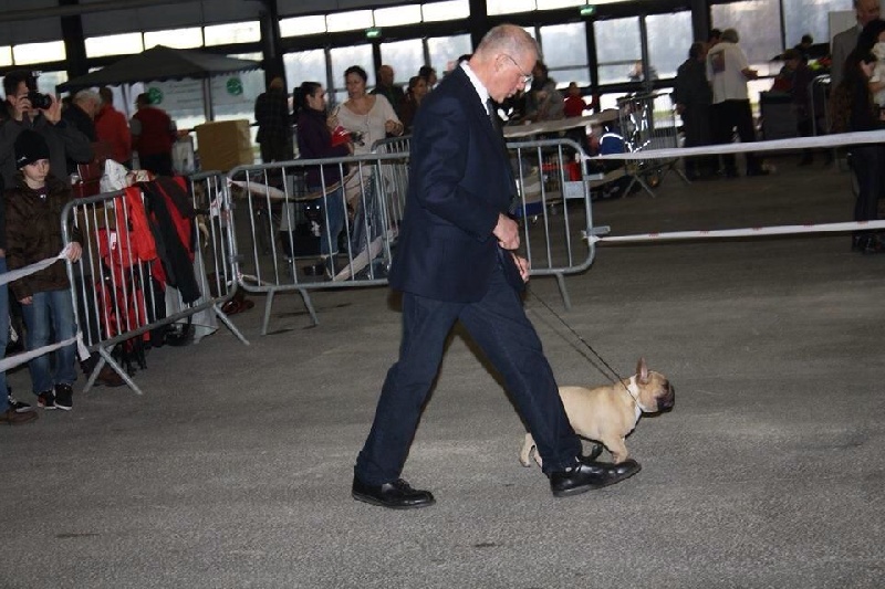 Héraclès de la flamme de chanel (Sans Affixe) - 1 er excellent + RCACS