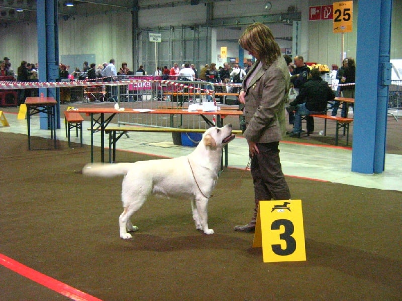 TR. CH. Ayka du vallon de la licorne