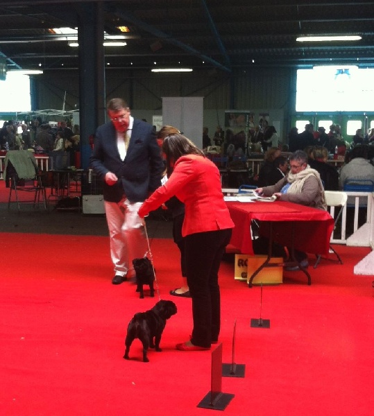 Indira-bella du gardien du palais de Lhassa - 2ème Très prometteur/2 - CPF