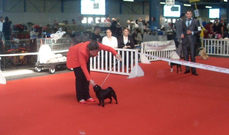 Indira-bella du gardien du palais de Lhassa - Très prometteur - CPF