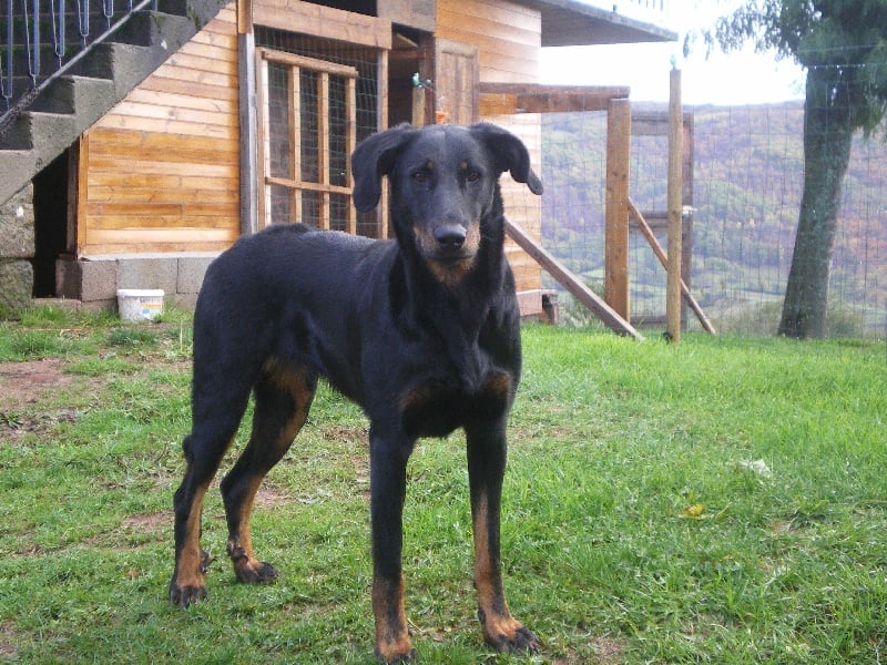 Publication : Des Terres Aveyronnaises Auteur : Les Terres Aveyronnaises