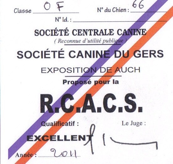 Diffa Des Quatre Griffes Noires - 1er Excellent / R.C.A.C.S / Classe Ouverte Femelle