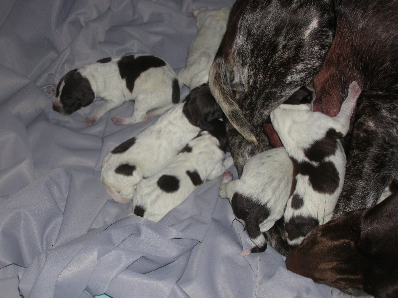 Publication : du Moulin de l'Oust