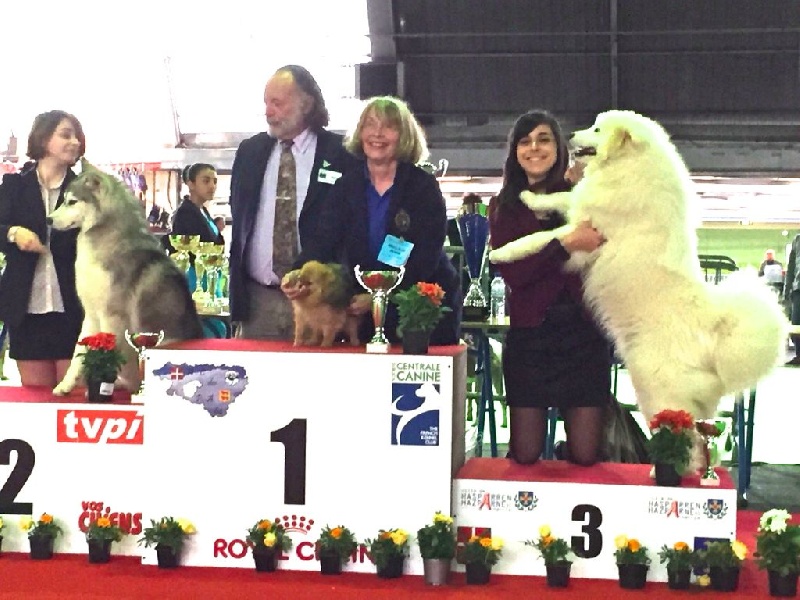 Caneden Lady loïs lane (loÏs) - 1er EXC - BOGJ